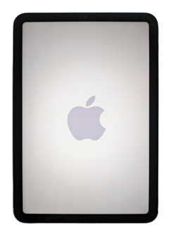 iPad mini