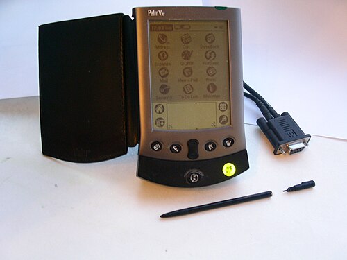 Palm Vx