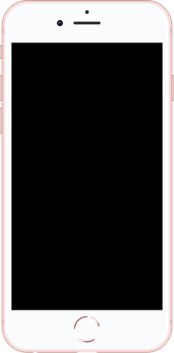 iPhone 6S