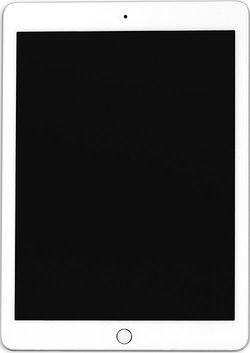 iPad (5th generation)