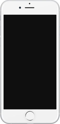 iPhone 6