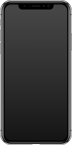 iPhone X